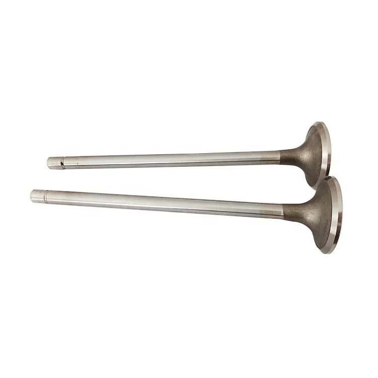 Construction Machinery Heavy Vehicle Engine N14 Exhaust Valve 3800891 3166410