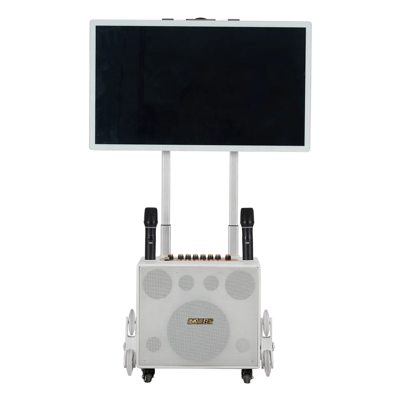 Professional Karaoke Machine  Outdoor Party Speaker Wireless Portable Karaoke multi-port output with Multi Touch Screen