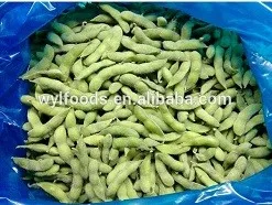 2024 new crop frozen edamame beans frozen peeled edamame beans iqf vegetables