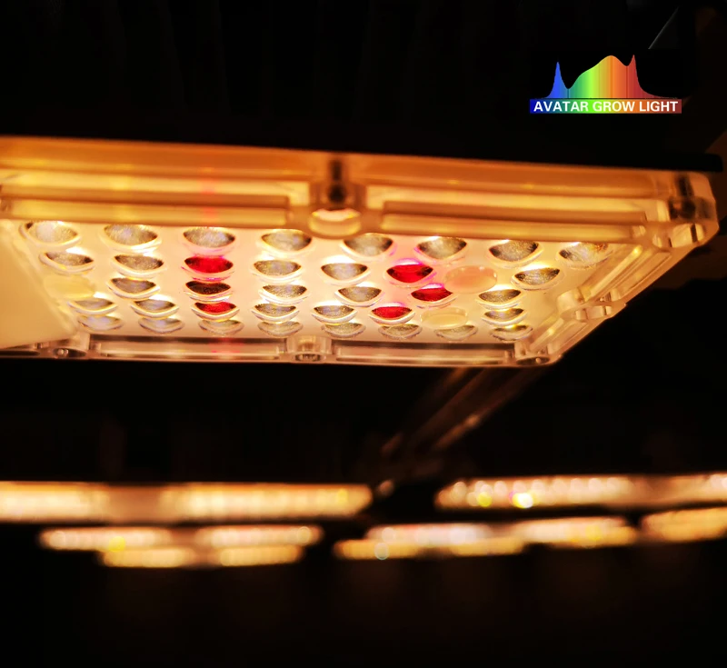 90 Degree Lens Hydroponic IP67 200W 400W 600W 800W 1000W Indoor Plants Light SMD HPS LED Grow Lights