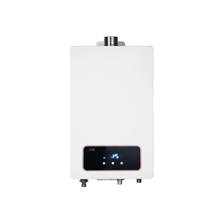 
Home Electrostatic Spraying Portable Gas Water Heater 10L 12L 13L 16L LPG Gas Water Heaters 