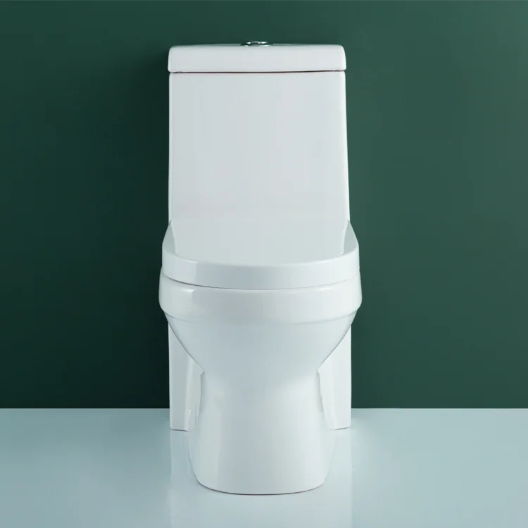 WDSI Muslim Toilett Sanitaryware Items Rak Toilets