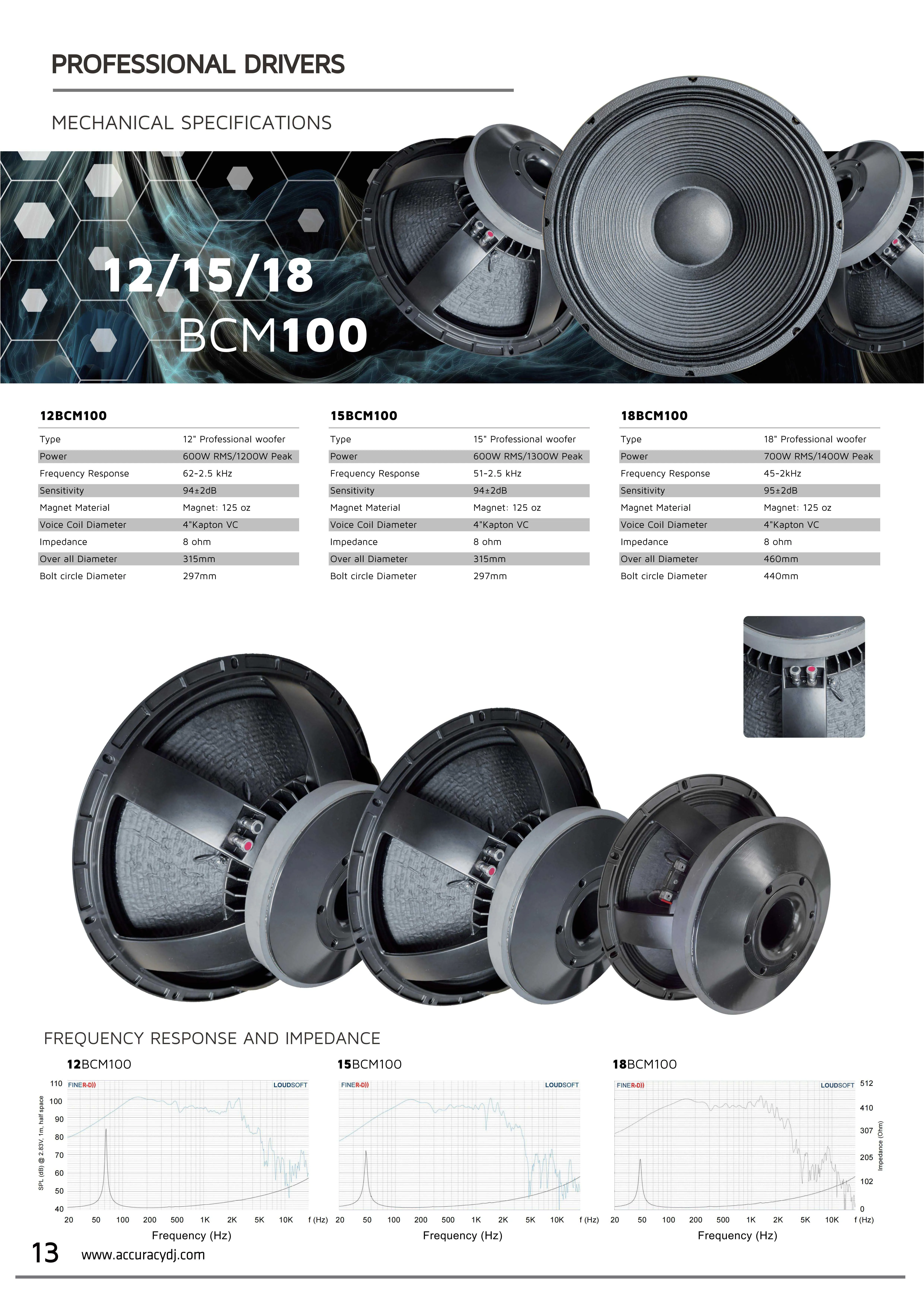 Accuracy Pro Audio 12BCM100 10 Inch Professional Woofer Can be paired with Wooden Speakers Line Array Speakers