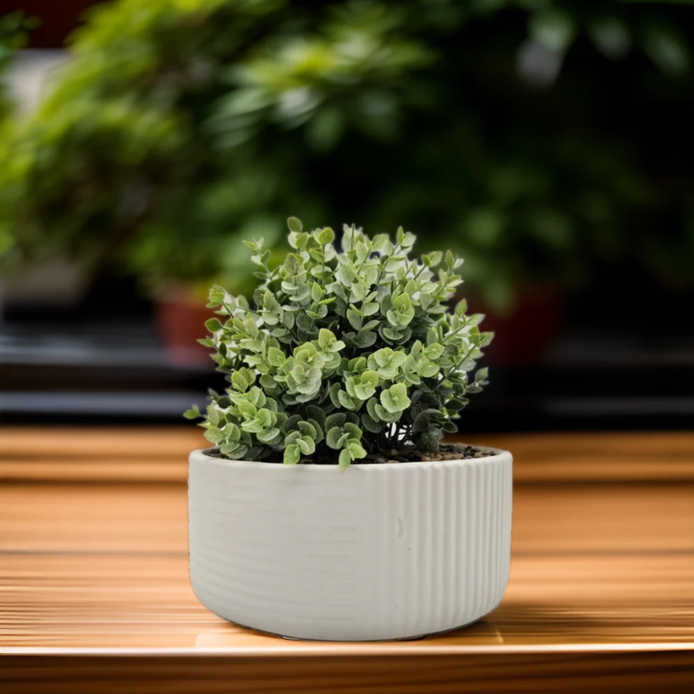 Small Bonsai Artificial Potted Green Plant Indoor Simulation Ins Design Style Faux Green Grass for Home Decoration Christmas