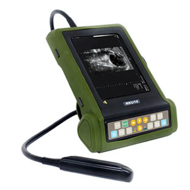 cheap price Vet Ultrasound Portable veterinary Ultrasound machine