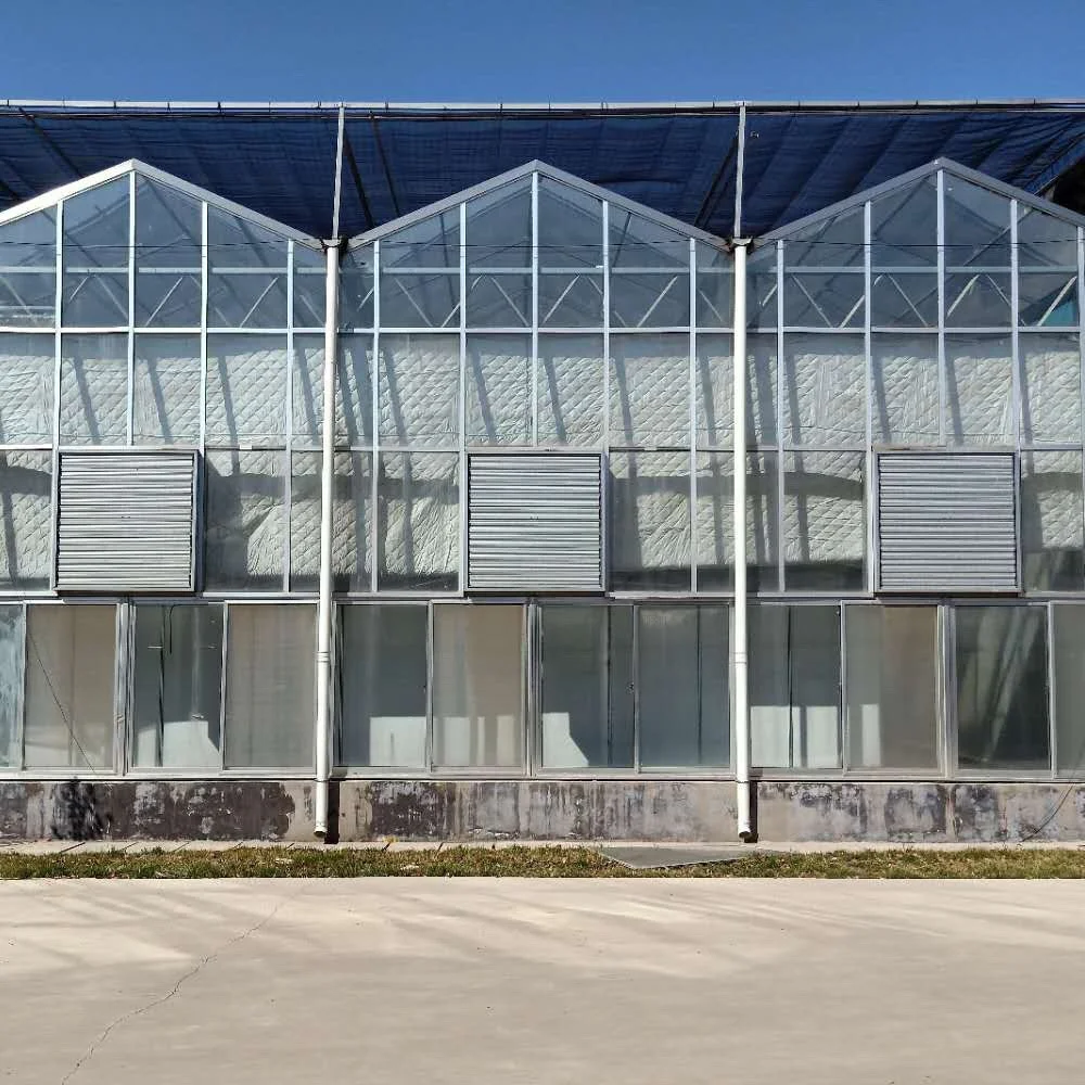
Multi-span Venlo Glass Solar Greenhouse for Flower Vegetable Fruits Planting 