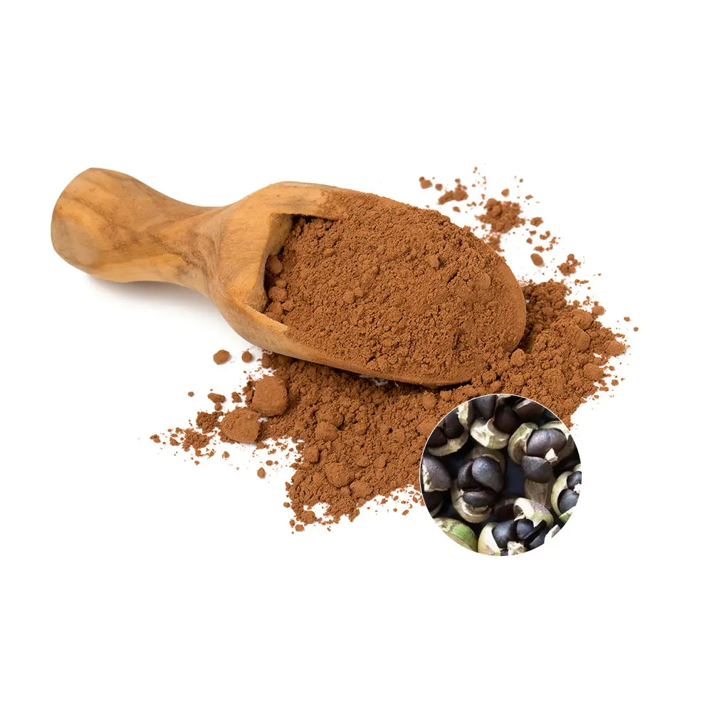 Organic Tea Seed Saponin Herbal Extract Tea Saponin Powder