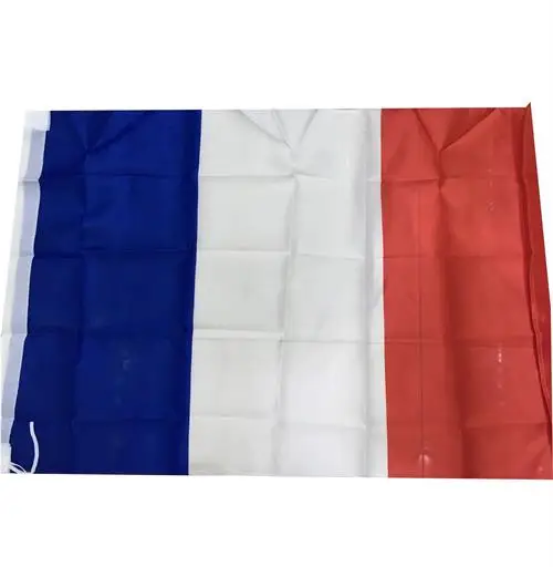 China Factory Wholesale Cheap Price Custom Logo Flag for Celebration and Events