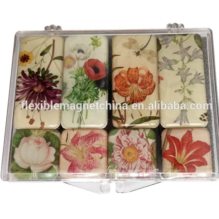 Factory Wholesale High Quality Epoxy Magnetic Set Promotional Magnet Gifts  Epoxy Magnet  For Kids Toys