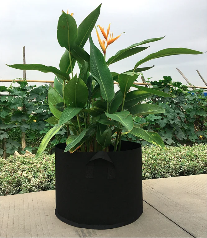 Non-woven fabric felt grow bags planting bags