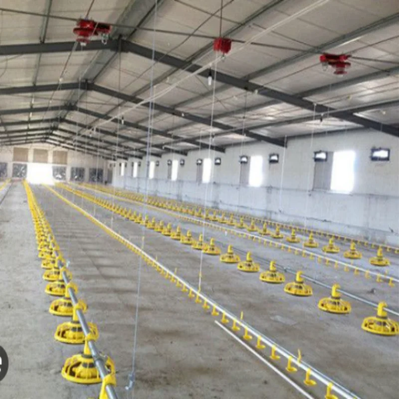 Chicken coop steel structure waterproof dog rabbit coop factory direct sales