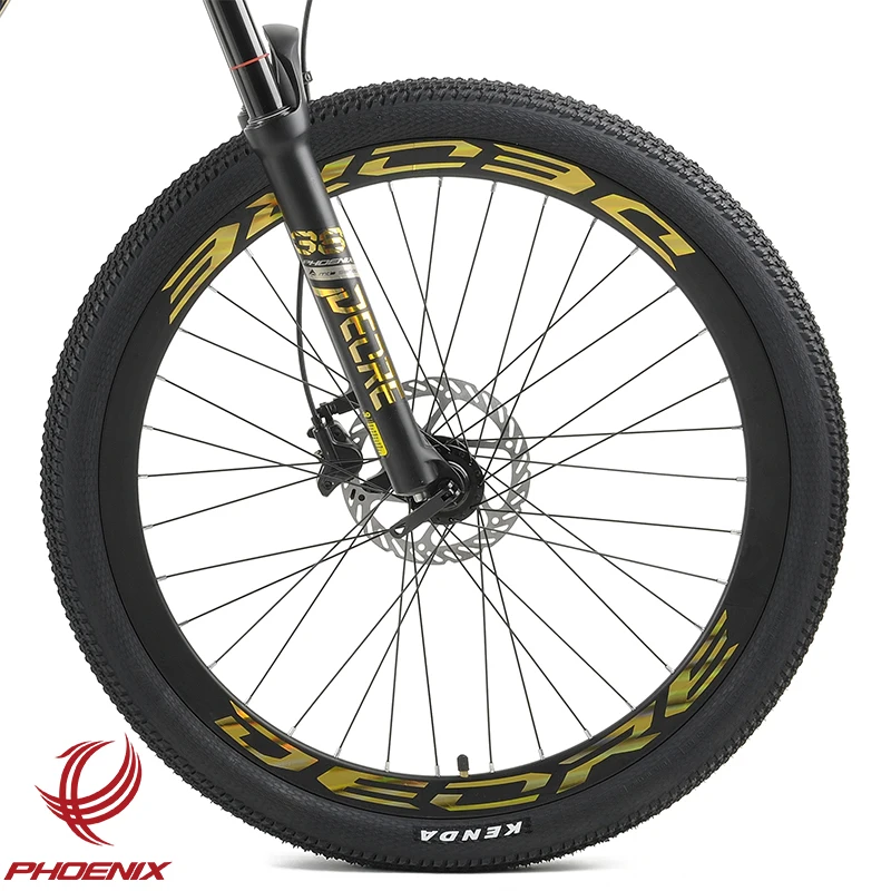 Phoenix Bicicletas Mountain Bike 29 Inch Aluminum Alloy Frame Customized MTB Bicycle