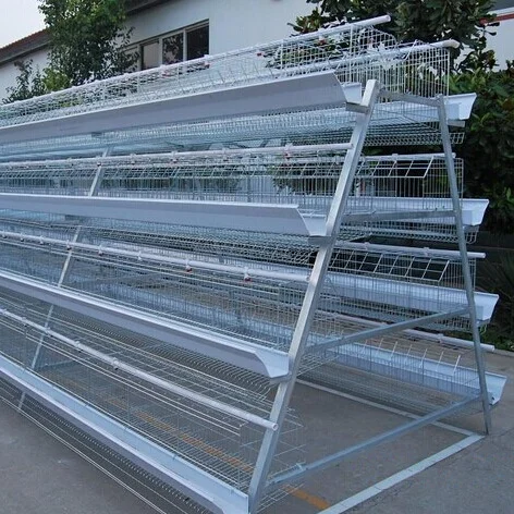high quality cages chicken battery chicken cage for layer chicken poultry farm in Nigeria
