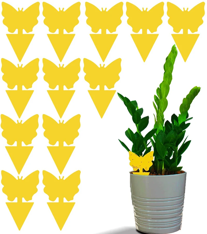 Non-Toxic Fruit Fly And Gnat Yellow Bug Insects Catcher Disposable Outdoor Fruit Fly Glue Sticky Trap Glue for Insect Trap