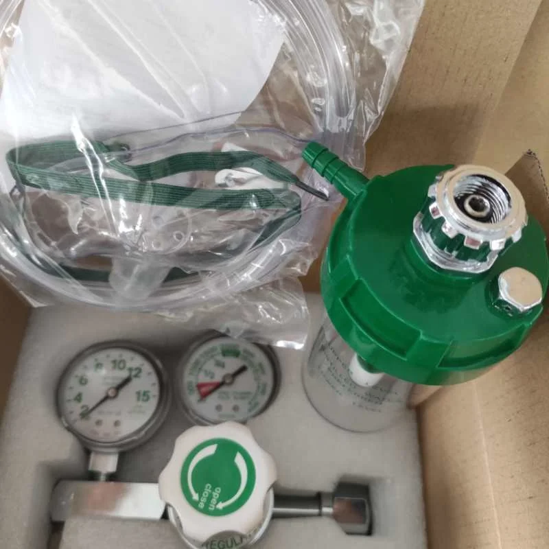 Double Gauge Regulator Oxygen Medical 10m3 Oxygen Regulator With Flow Meter