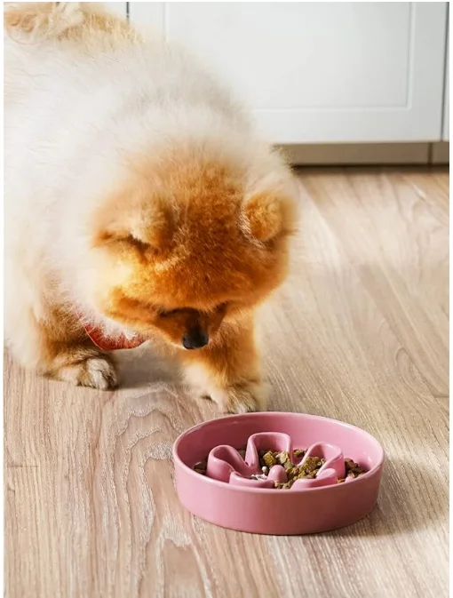 China Wholesale Ceramic Slow Feeder Dog Bowls Small Breed 0.6 Cups Dog Food Dish Eaters Puzzle Bowl Small Dogs Cats