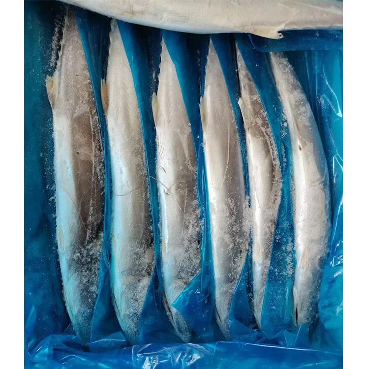 Горячая Распродажа, хорошая цена, морепродукты, все товары для скумбрии в Китае, дешевая замороженная рыба, испанская скумбрия, оптовая продажа