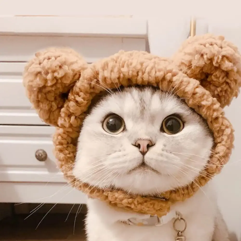 Милый костюм кошки теплая шапка с медведем для регулируемой мягкой маленькой шерсти домашнего питомца щенка собаки