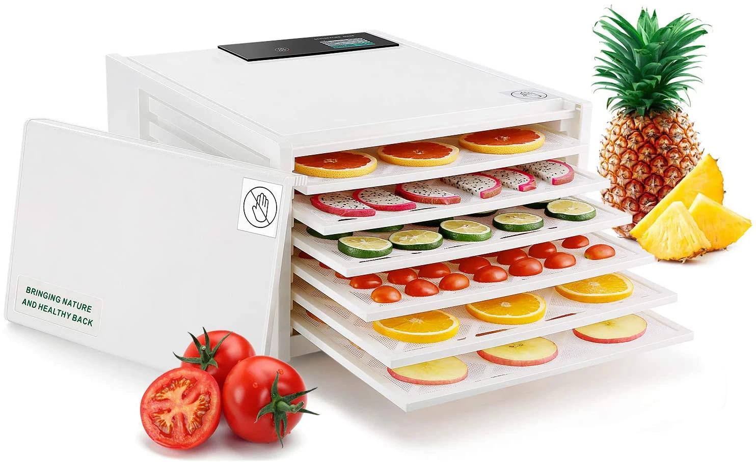 Small 6 trays plastic Digital Fruit Dehydrator Fruit dryer