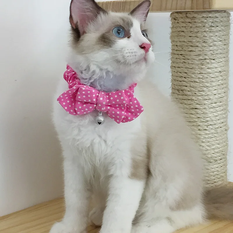 Оптовая продажа Регулируемый отколов Котенок Pet интимные аксессуары воротник кошка одежда