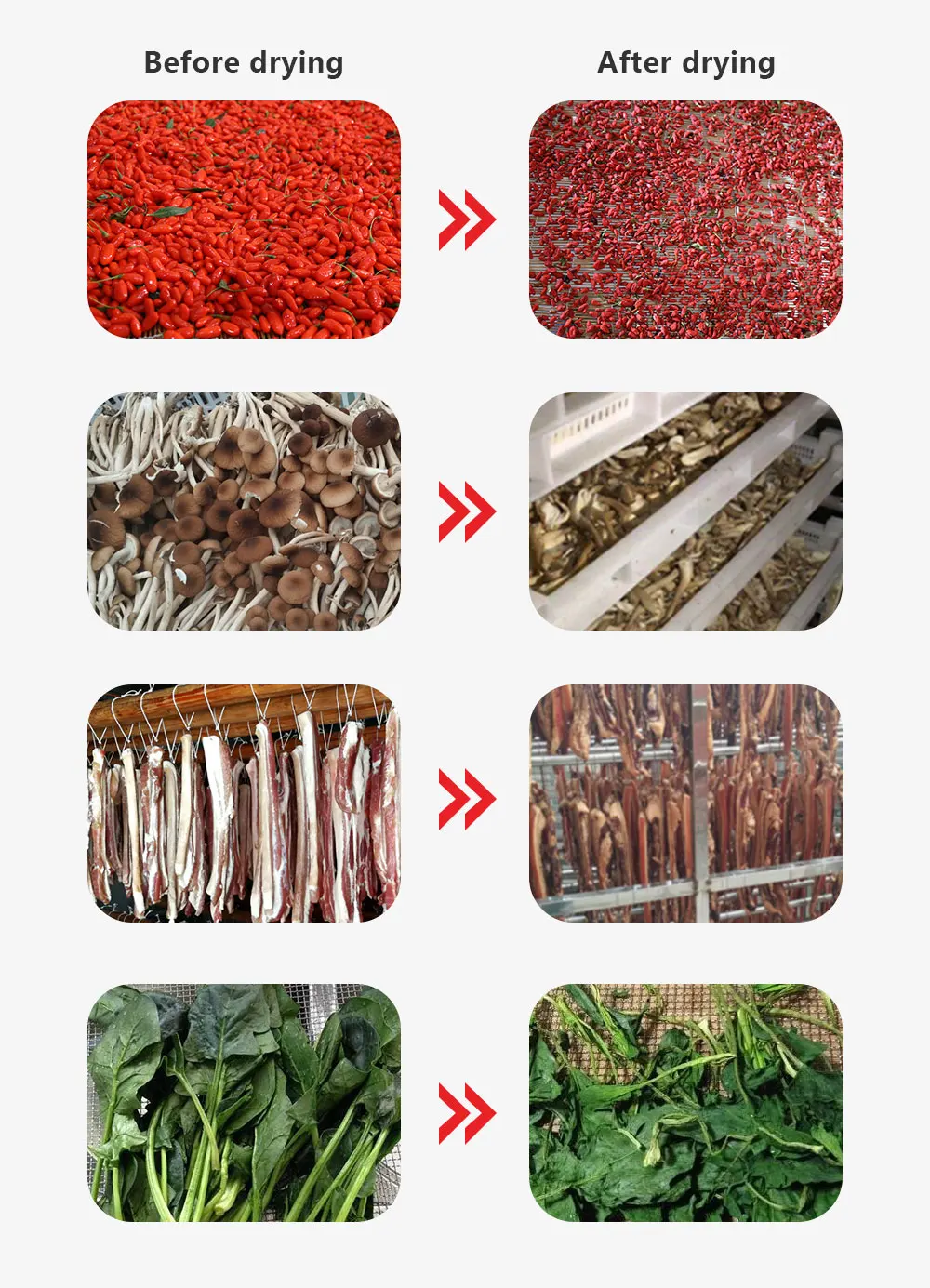 High quality 32 trays jerky food dehydrator dehydration fish drying machine