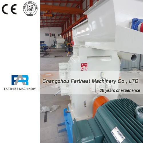 Changzhou Farthest 2 T/h Ring Die Feed Pellet Mill Machinery For Rainbow Trout Fish Feed