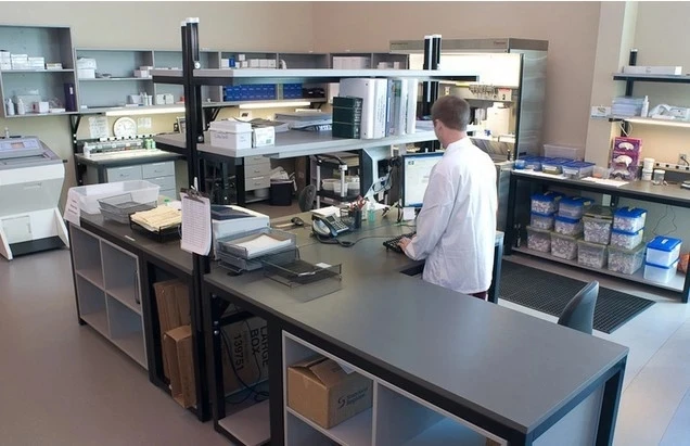 Общий S-аденозил метионин набор SAM elisa