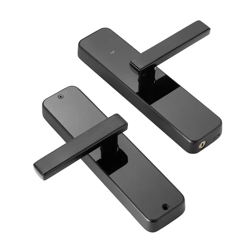 temic or M1fare cardsmart lock card swipehotel digital door lockFactory