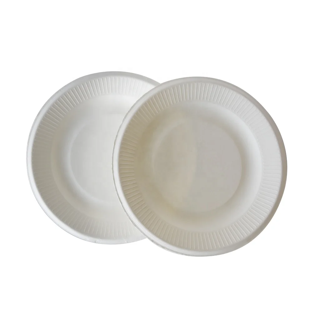 
disposable plates with lid compartment 