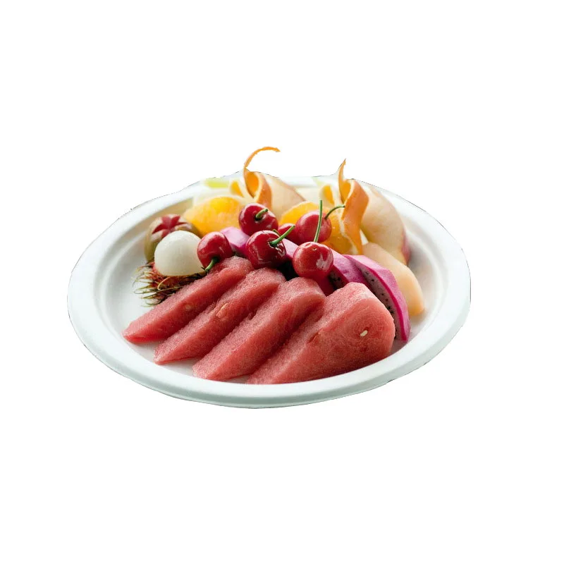 Biodegradable Disposable Compostable Takeaway Sugarcane Bagasse Clamshell Paper Plate Container Tableware