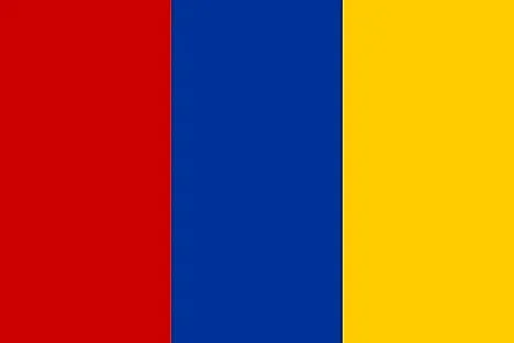 Custom Wholesale 100% Polyester 3x5ft Flag Country Blue Yellow Red Flag