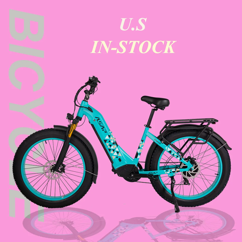 Hot Spot Selling Adult Dirtbike Equipped 26 Inch Fat Tire 750W Electric Hybrid Bike