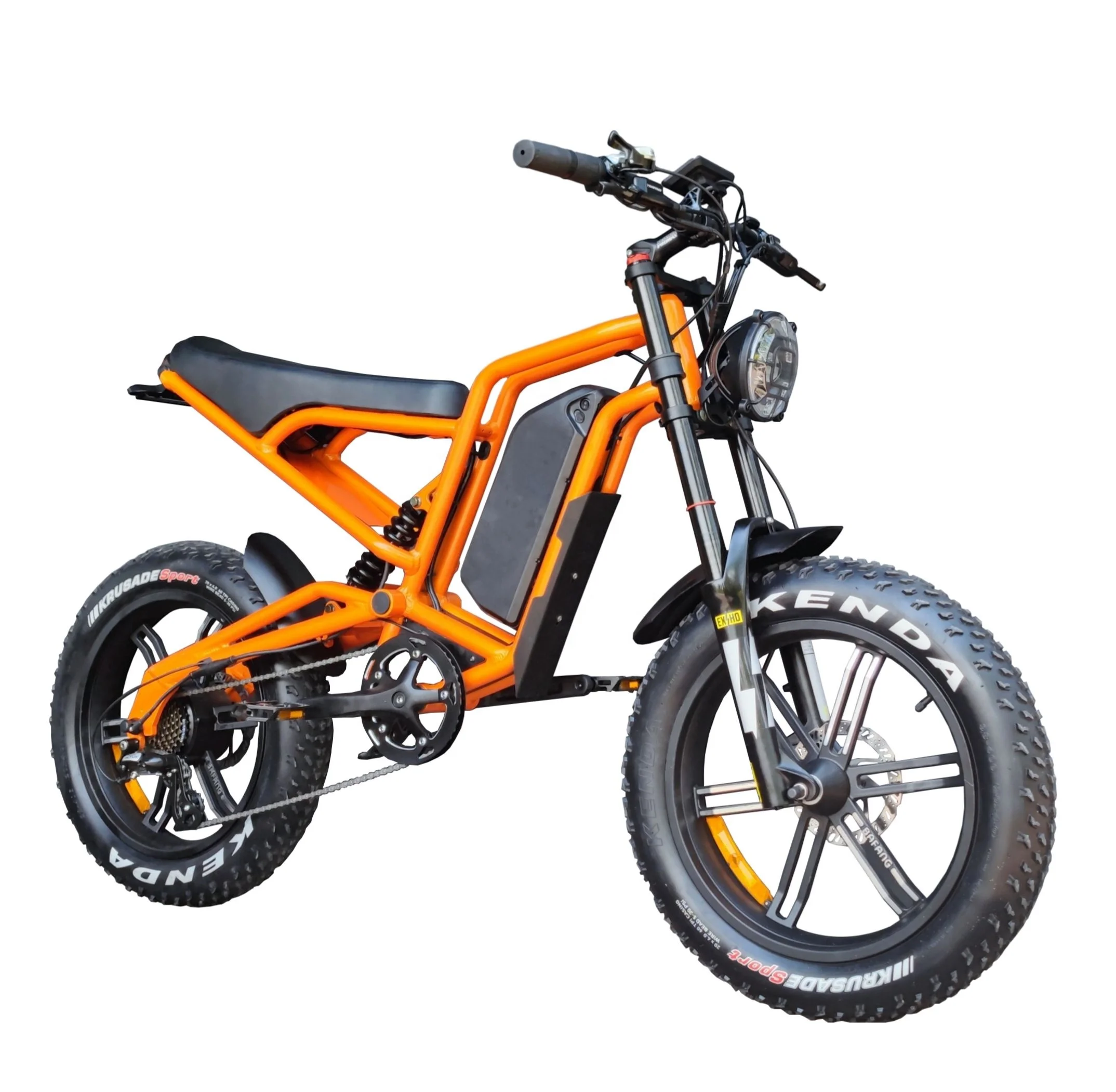 Electric Dirt Bike Adult 1200W Long Range Rear Hub Motor Electric Mountain Bike 48V 20Ah Battery Fat Tire Ebike