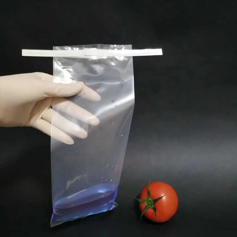 6 ''X 9'' лабораторный стерильный образец мешок, ясно, с защитными вкладками