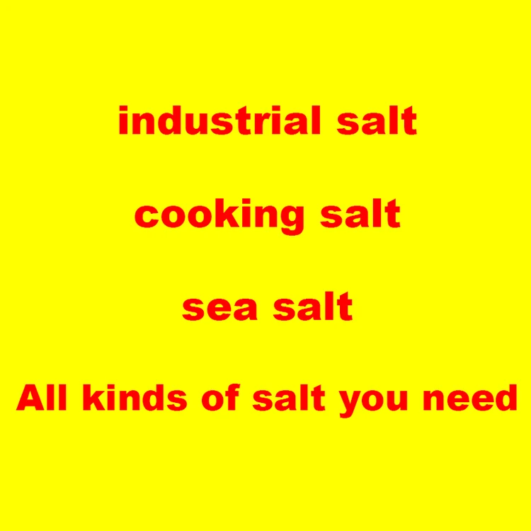 Популярная чистая сушеная вакуумная соль Snow SKY Pdv, рафинированная соль, съедобная