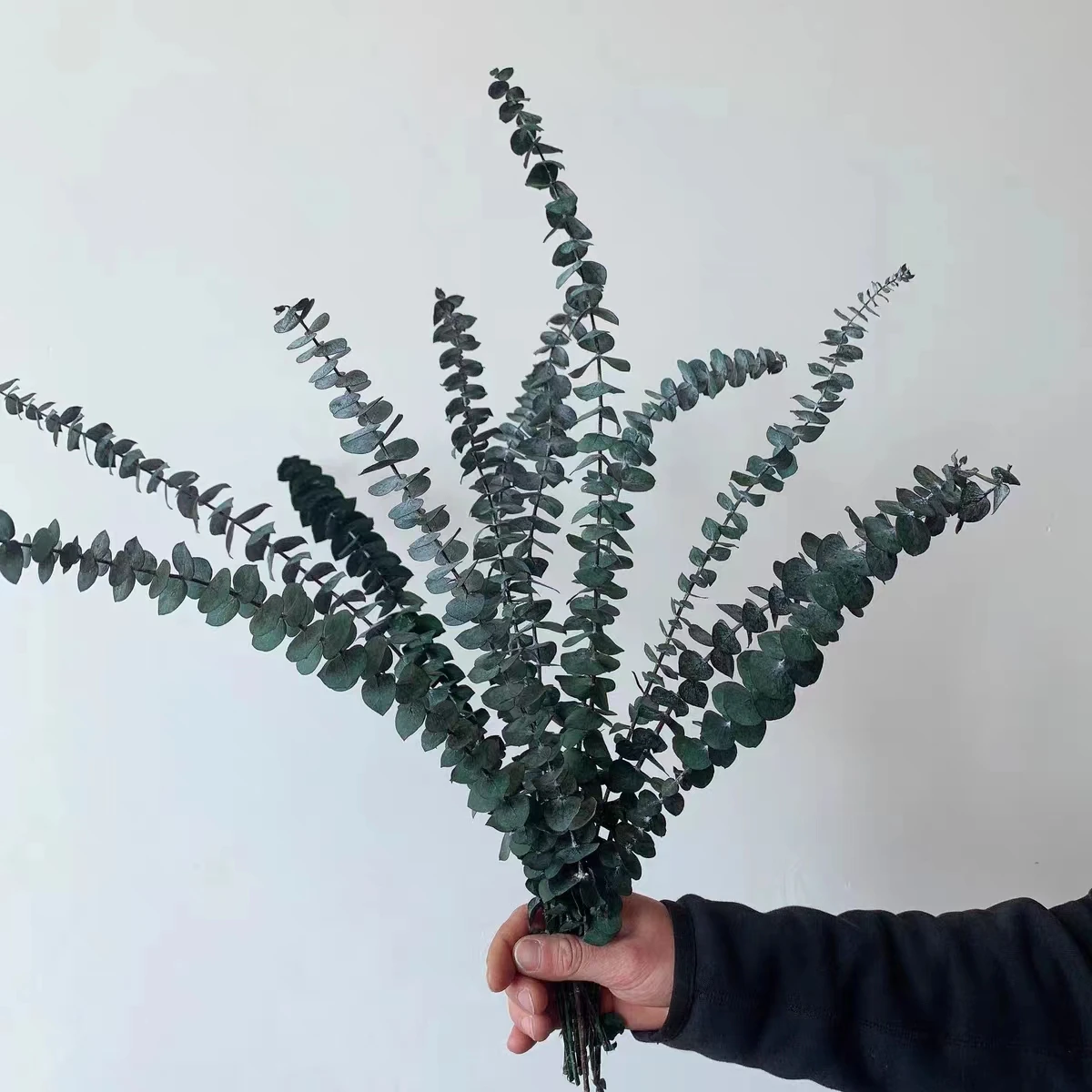 2023 Hot sale eucalyptus leaves dried eucalyptus stems bouquets decorated with preserved eucalyptus leaves