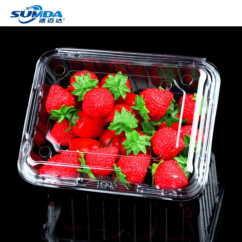 Customization Multi Styles Plastic Food Container Fold Pack  Food  Box Fruit Boxes For Shipping  Factory Wholesale