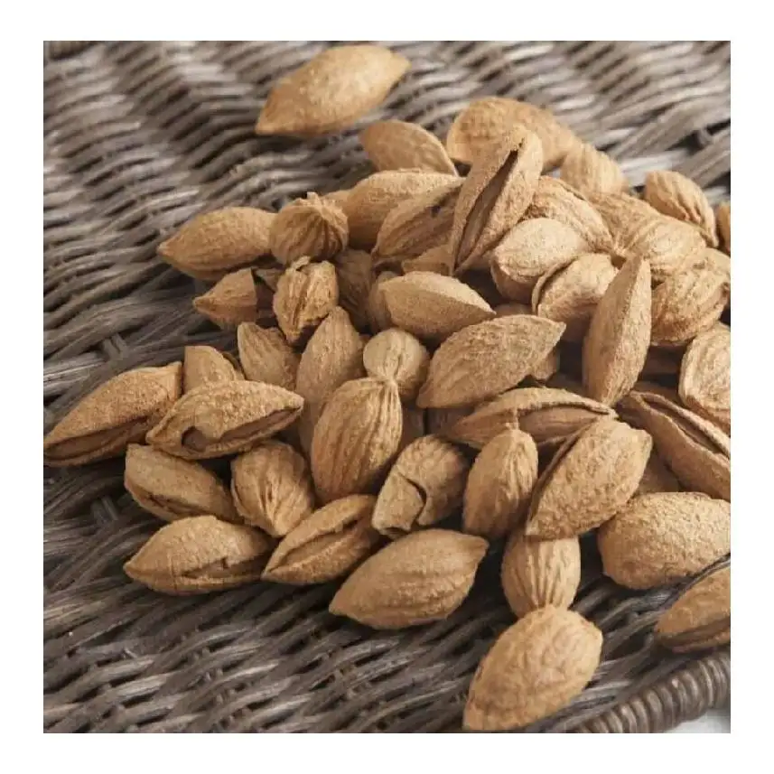 Wholesale high grade healthy snack raw almonds in bulk from Uzbekistan with competitive price for export