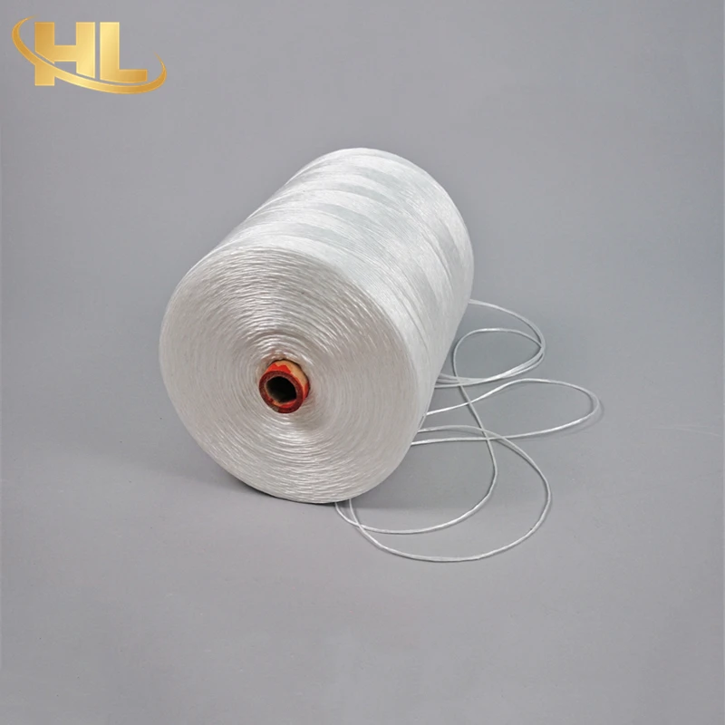 Wuxi Henglong OEM Wholesale UV Treated Agro Greenhouse Horticulture Vegetable Fruit Plastic PP White Polypropylene Twine