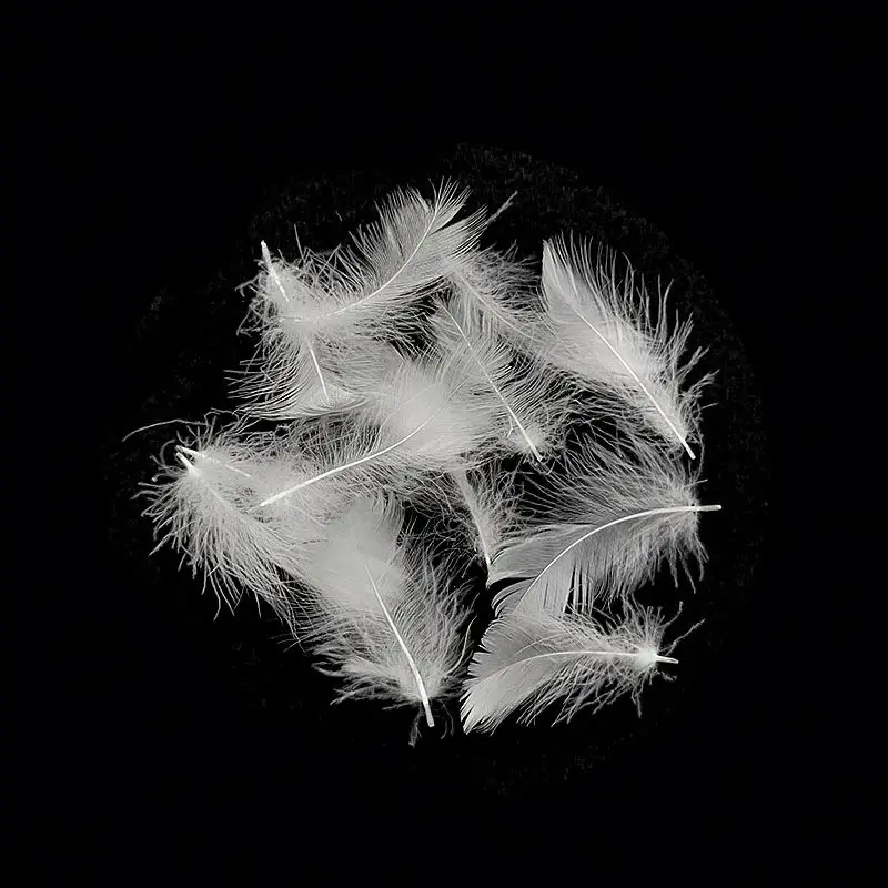  Cheap 100% Washed Natural Goose Down Fill Feather For