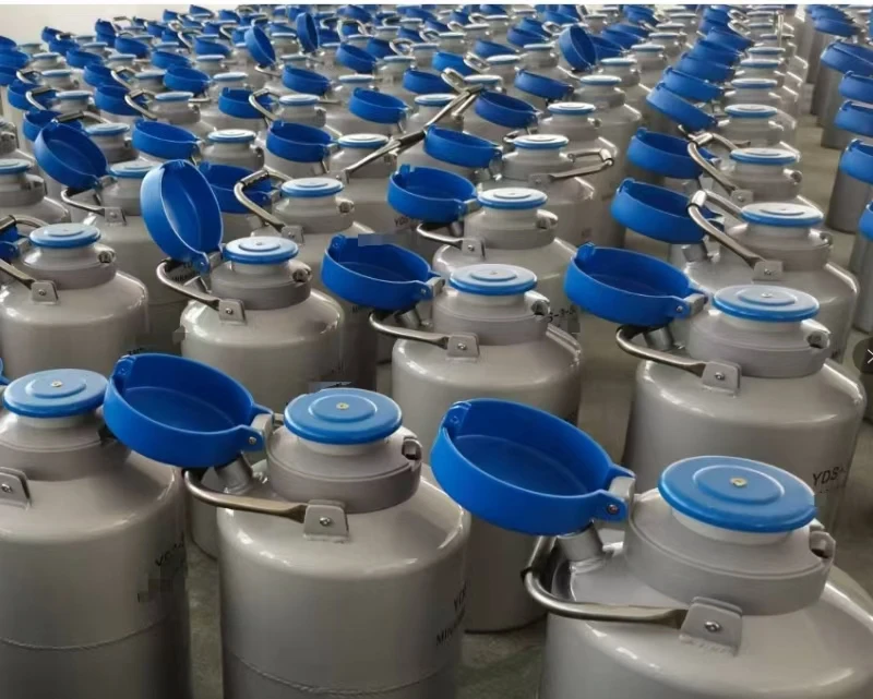 10L portable liquid nitrogen storage tank