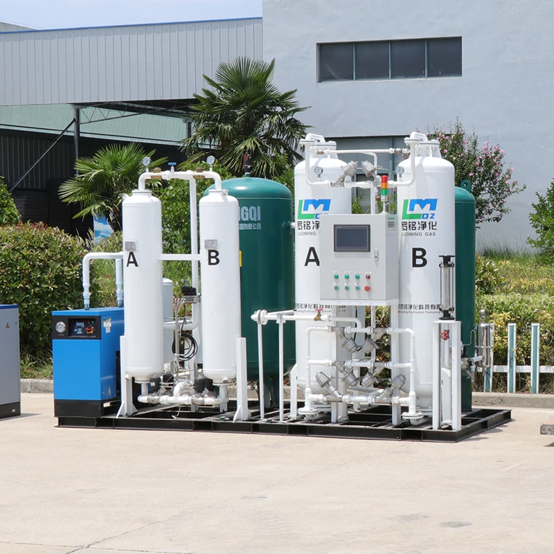 Portable Nitrogen Gas Generator Small Popular Plant N2 Equipment with PLC 1-Year Warranty New Condition