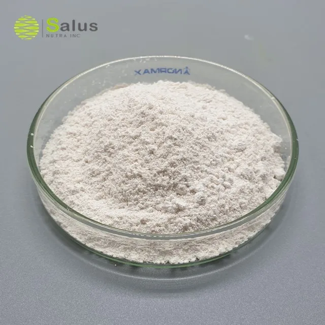 Best Price Pure Chlorogenic Acid 98%