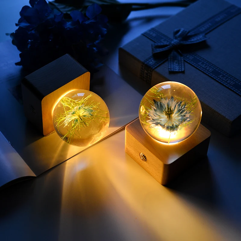 Unique Hot Item Novelty Gifts 2024 Trends New Years innovative Product Ideas Real Flower Night Light Holiday Festival Gift Sets