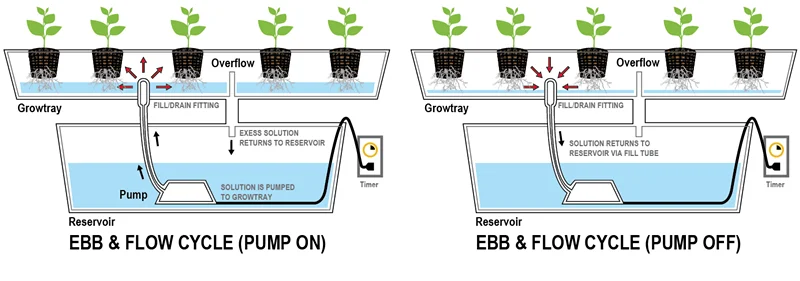 Mobile Hydroponic Rolling Benches Vertical Grow Racks for Sale