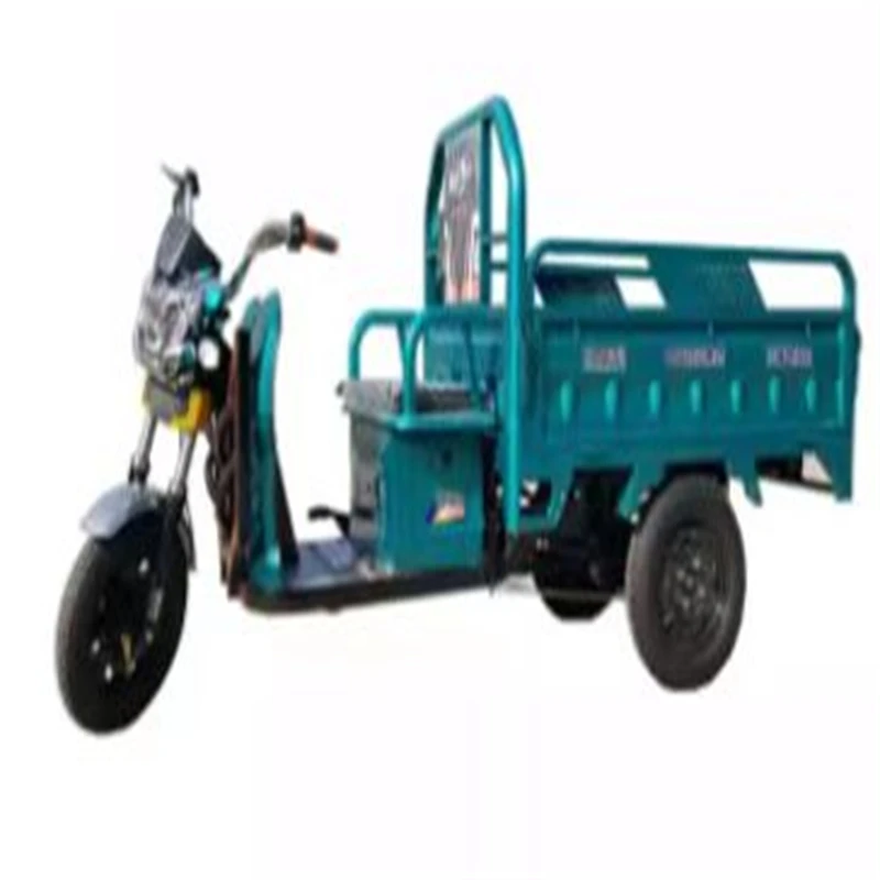 2022 China cheaper adult tricycle 60V 20Ah-50Ah electric tricycle with cargo electric motorcycle EU warehouse spot sale