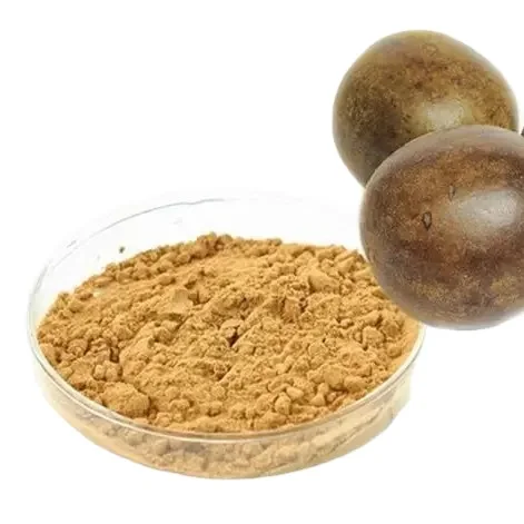 100% Natural Sugar Substitute White Brown Sugar Pure Organic Monkfruit Erythritol Blend Monk Fruit Sweetener