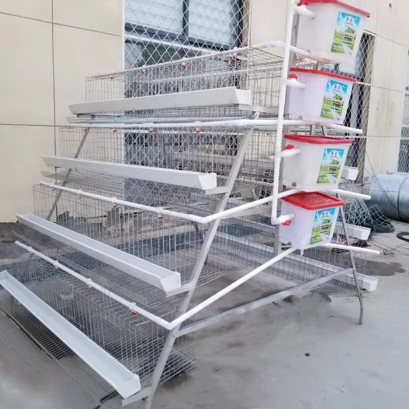 3 tiers 4 tiers Chicken Egg Layer Battery Cage For Tanzania Poultry Farm