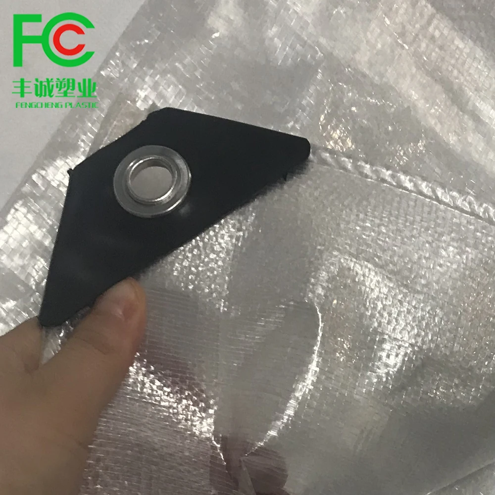 cherry crop protected under plastic rain covers protection against cracking for sweet cherry orchards