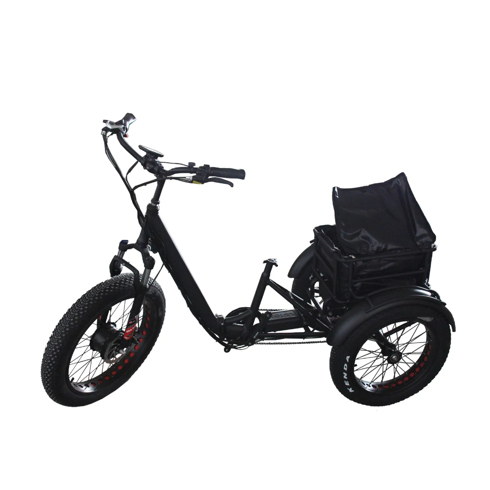 Elderly Electric vehicle tricycles 3 wheel electric electro-tricycle